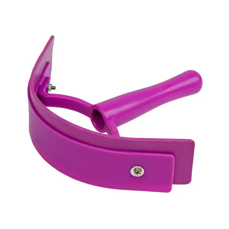Roma Brights Sweat Scraper in Deep Purple