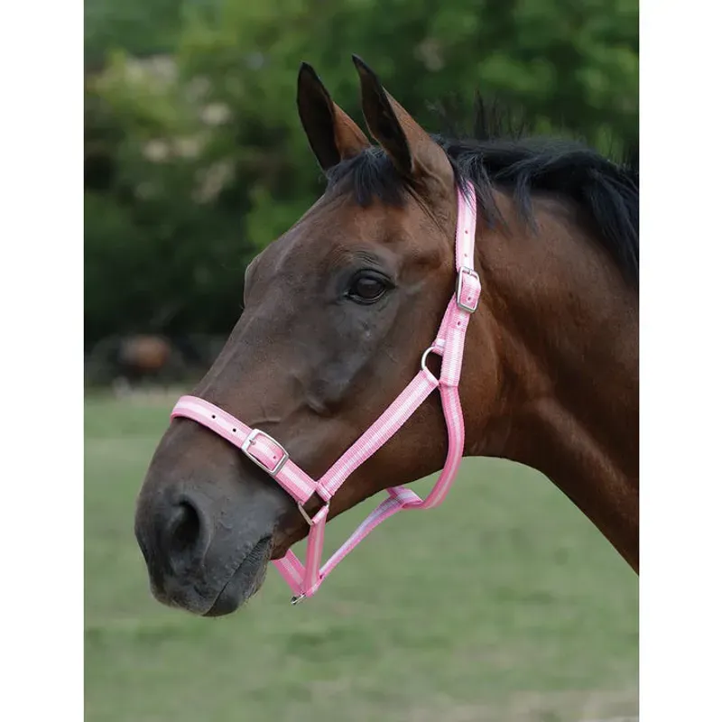 Roma Halter and Lead Set in Pink/Silver