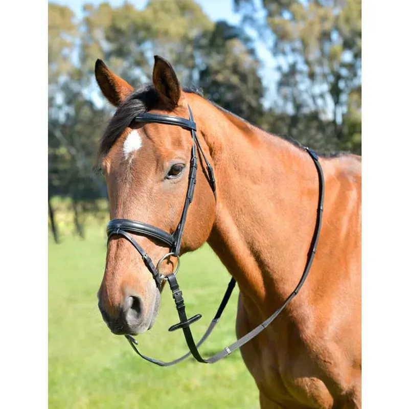 Kincade Classic Plain Raised Flash Bridle With Reins in Black