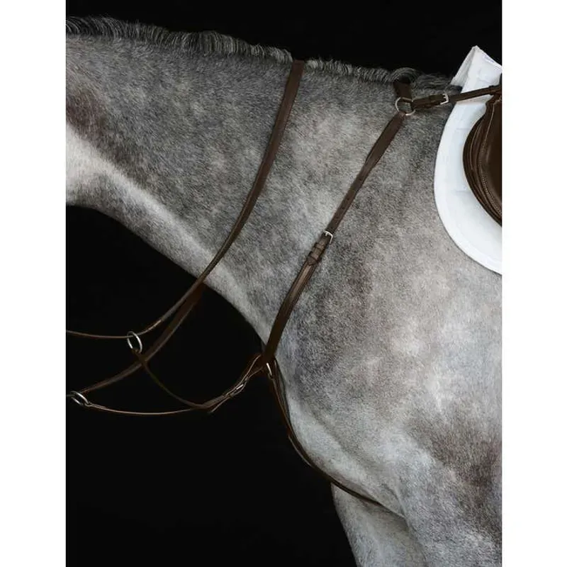 Collegiate Hunter Breast Plate IV - Brown - Cob
