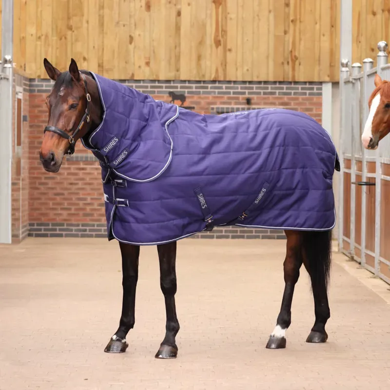 Tempest Original 100 Stable Rug and Neck in Navy