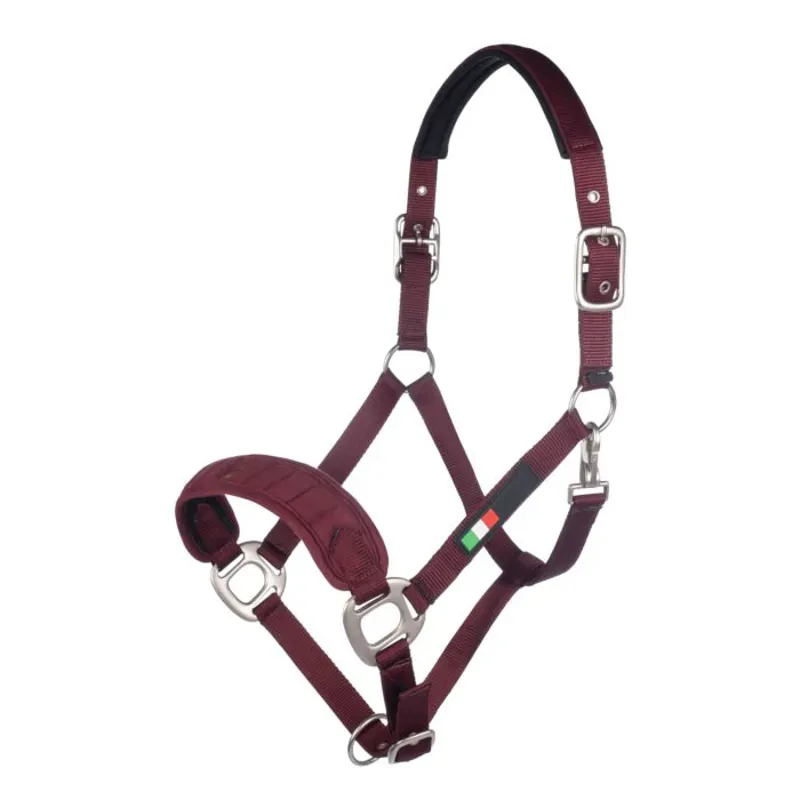 Hkm Livigno Head Collar in Bordeaux