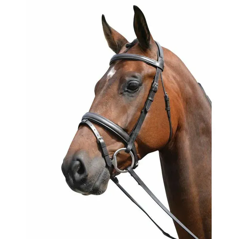 Kincade Padded Headpiece Flash Bridle in Black