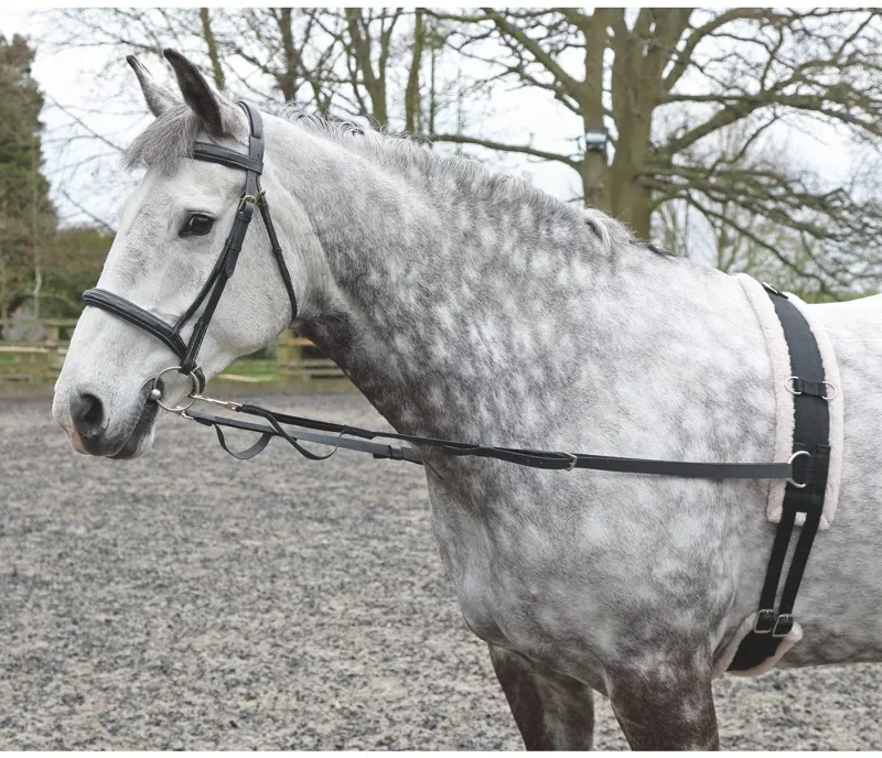 Shires Nylon Web Side Reins in Black