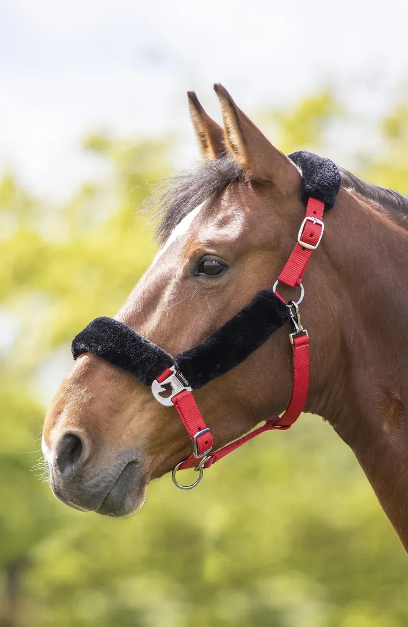 Shires Fleece Lined Headcollar - Red - Cob