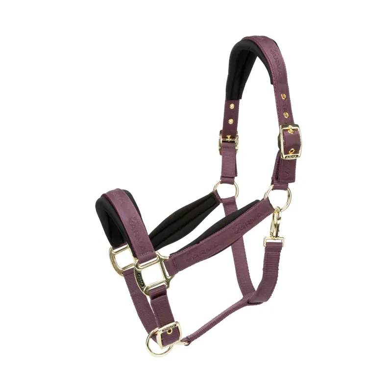 Arma Padded Headcollar in Black Cherry