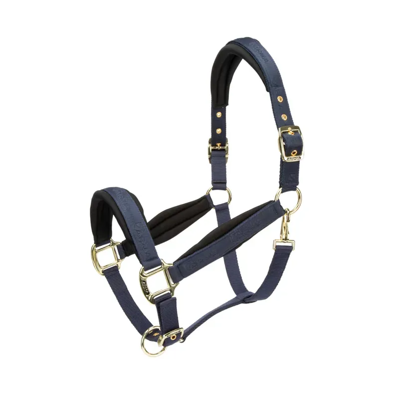 Arma Padded Headcollar in Navy