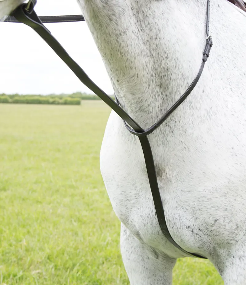 Blenheim Standing Martingale in Black