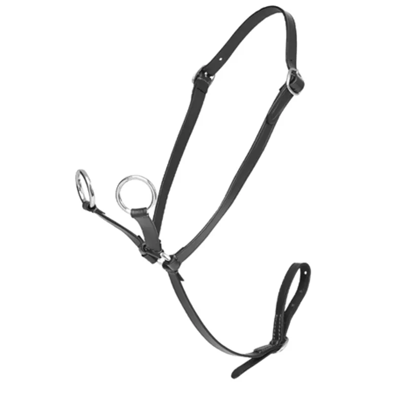 LeMieux Toy Pony Martingale - BLACK 