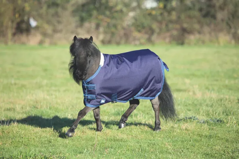 Tempest Original Lite Mini Turnout Rug in Navy