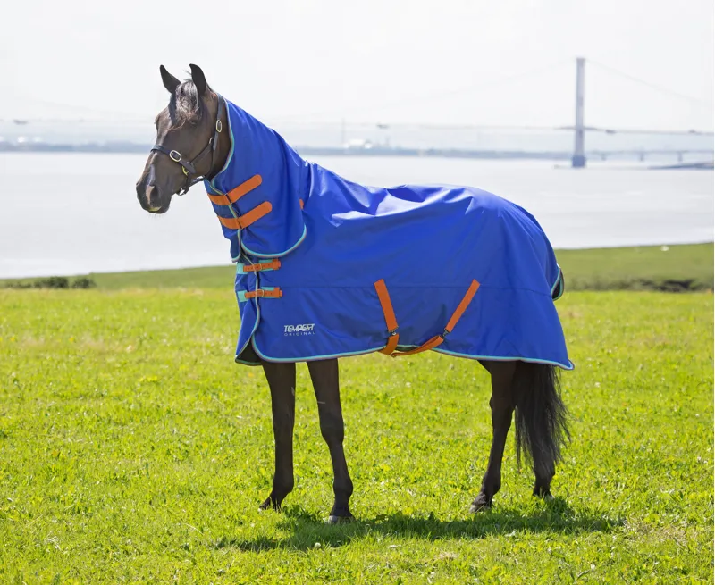 Tempest Original 50 Combo Turnout Rug in Royal