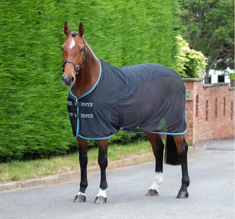 Tempest Original Fleece/Mesh Cooler Rug in Black