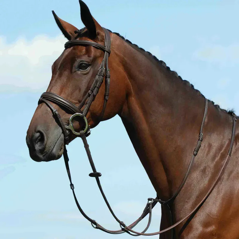 Collegiate Syntovia+ Plain Flat Running Martingale in Brown