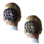 Equetech Crystal Bun Net in Black 