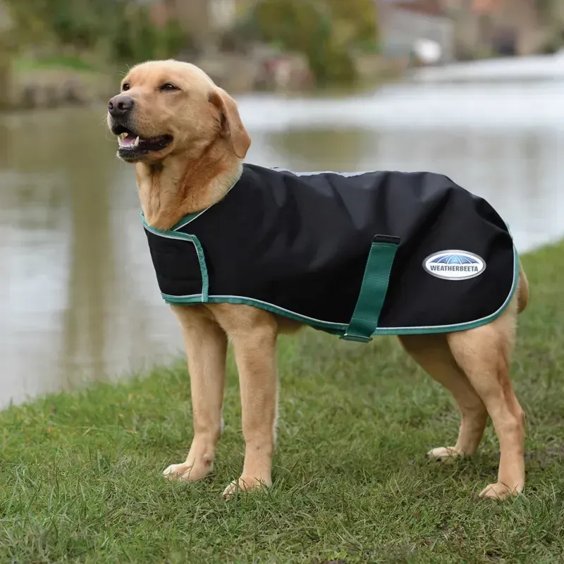 WeatherBeeta Lite Plus Green-Tec 900d Dog Coat in Black/Bottle Green