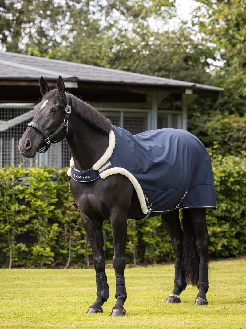 LeMieux Walker Rug - NAVY