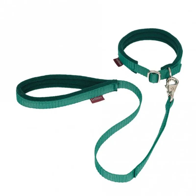 Lead collar dog sales