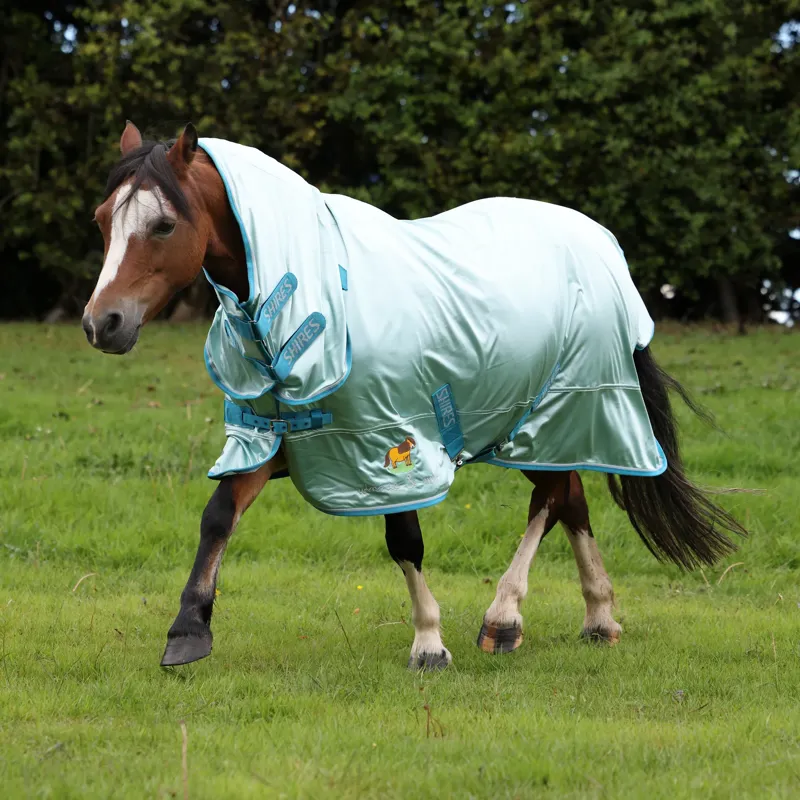 Winnie and Me Fly Combo Rug in BLUE