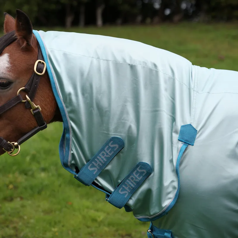 Winnie and Me Fly Combo Rug in BLUE-5