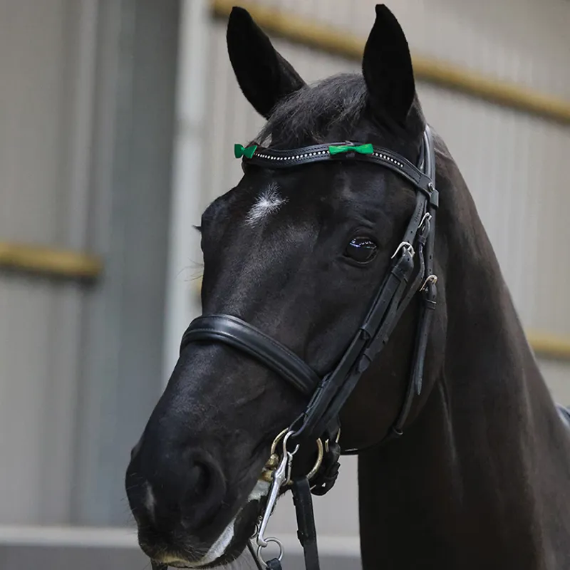 Equetech Horse Bridle Warning Ribbons - GREEN - One Size - 4 Pack-1