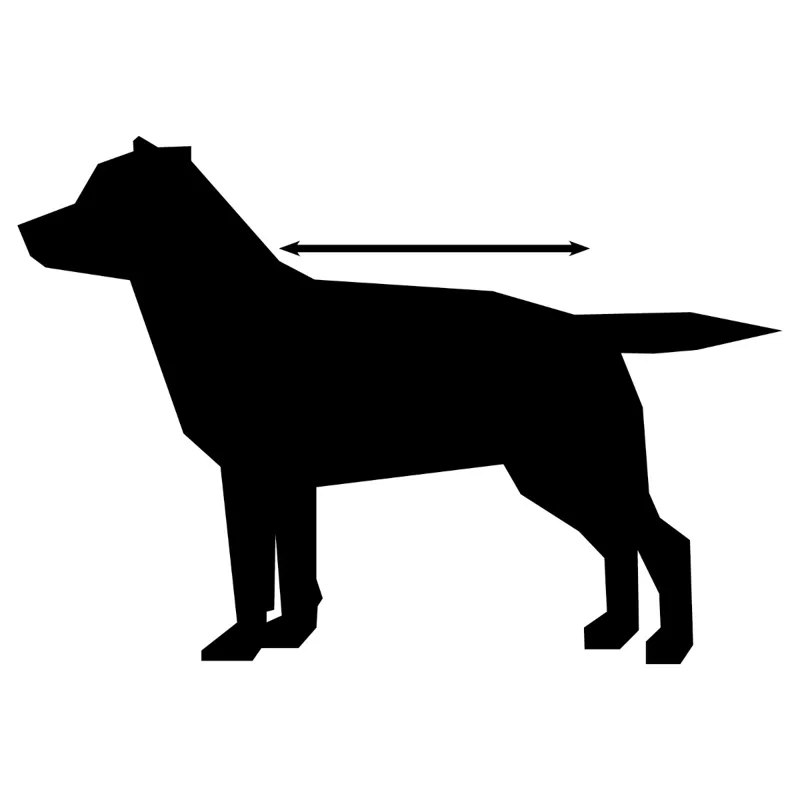 WeatherBeeta Comfitec Parka 1200D Deluxe Dog Coat - BLACK/TURQUOISE -1