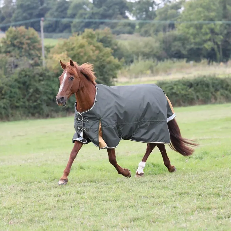 Shires Highlander Plus 50g Turnout Rug - GREEN
