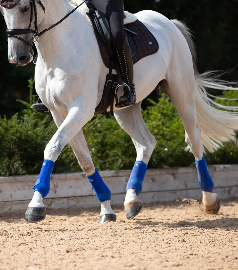 Premier Equine Air-Tech Sport Medicine Boots - ROYAL BLUE-5