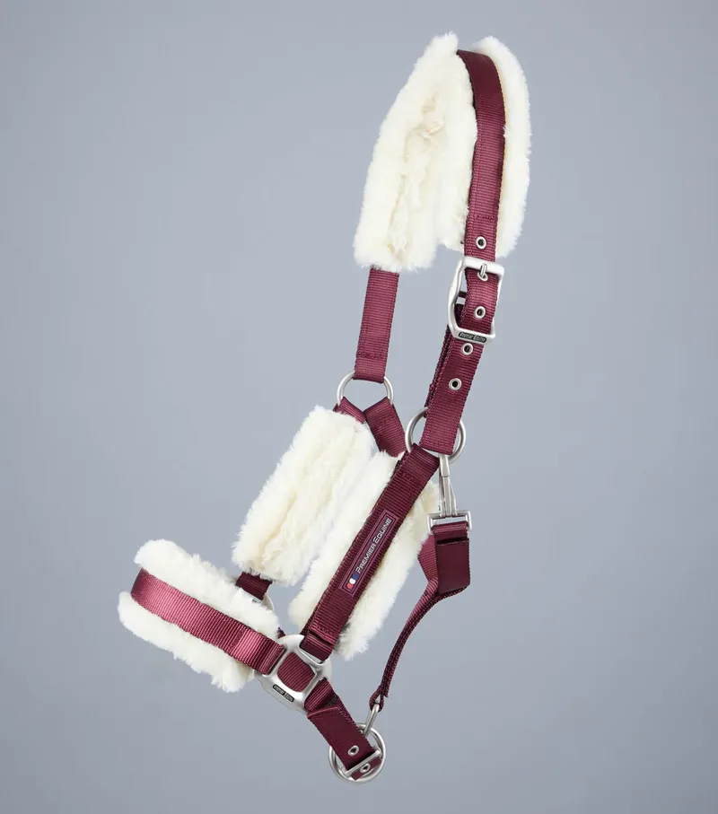 Premier Equine Techno Lined Headcollar - BURGUNDY