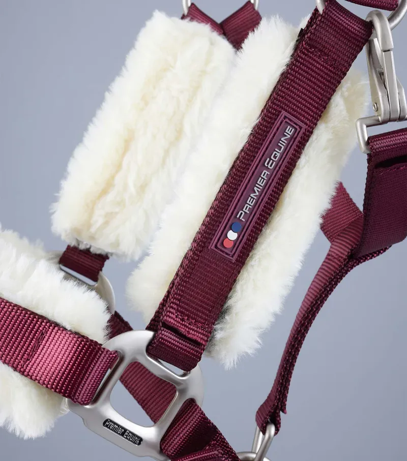 Premier Equine Techno Lined Headcollar - BURGUNDY-3