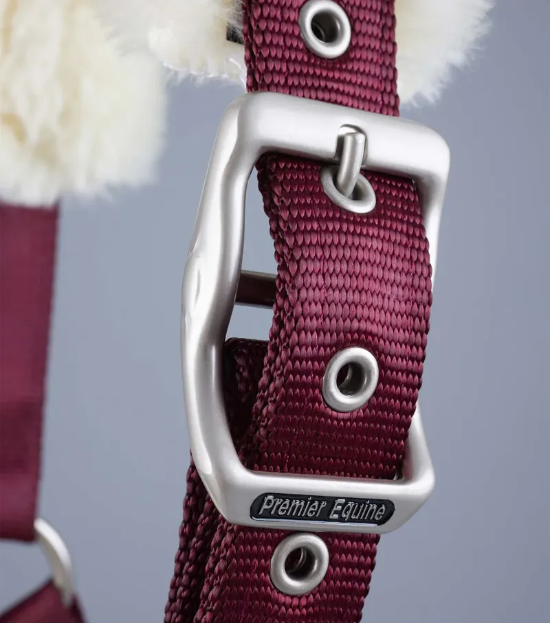 Premier Equine Techno Lined Headcollar - BURGUNDY-2