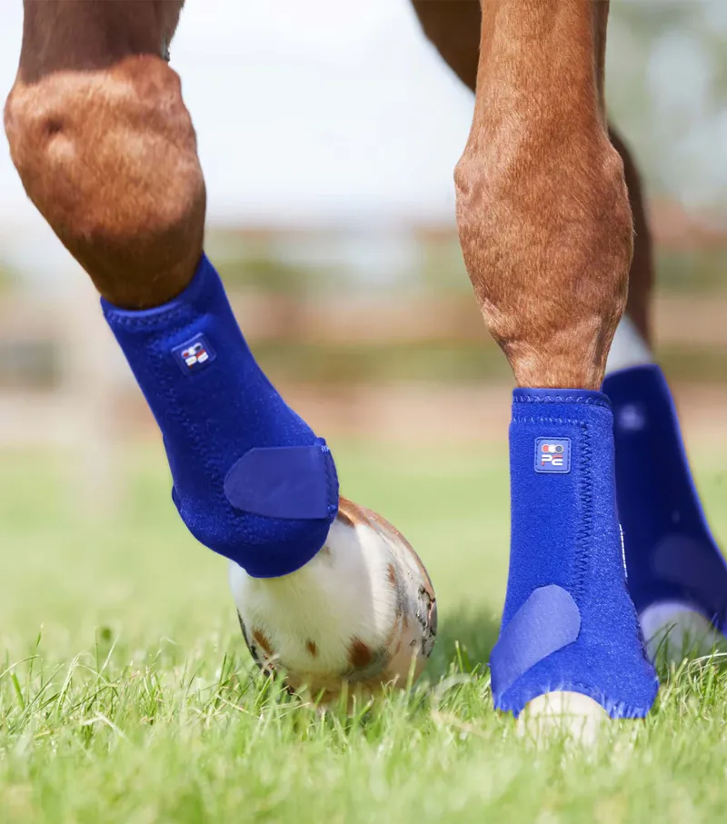 Premier Equine Air-Tech Sport Medicine Boots - ROYAL BLUE-3
