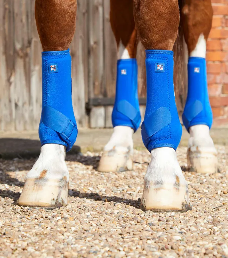 Premier Equine Air-Tech Sport Medicine Boots - ROYAL BLUE-4