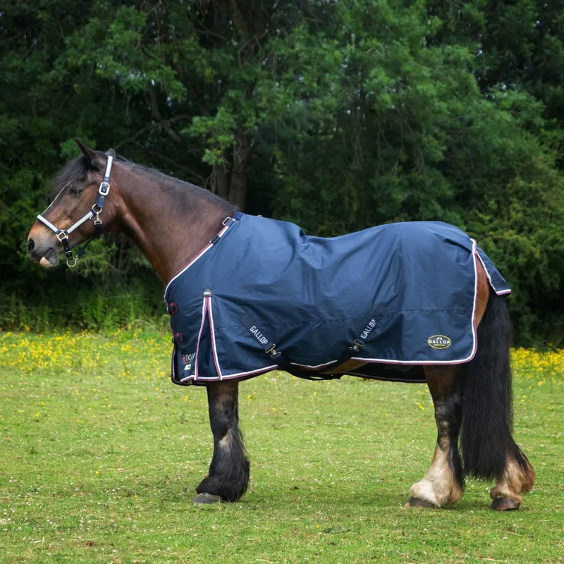 Gallop Trojan Duraproof 50g 5-Point Standard Neck Turnout - NAVY