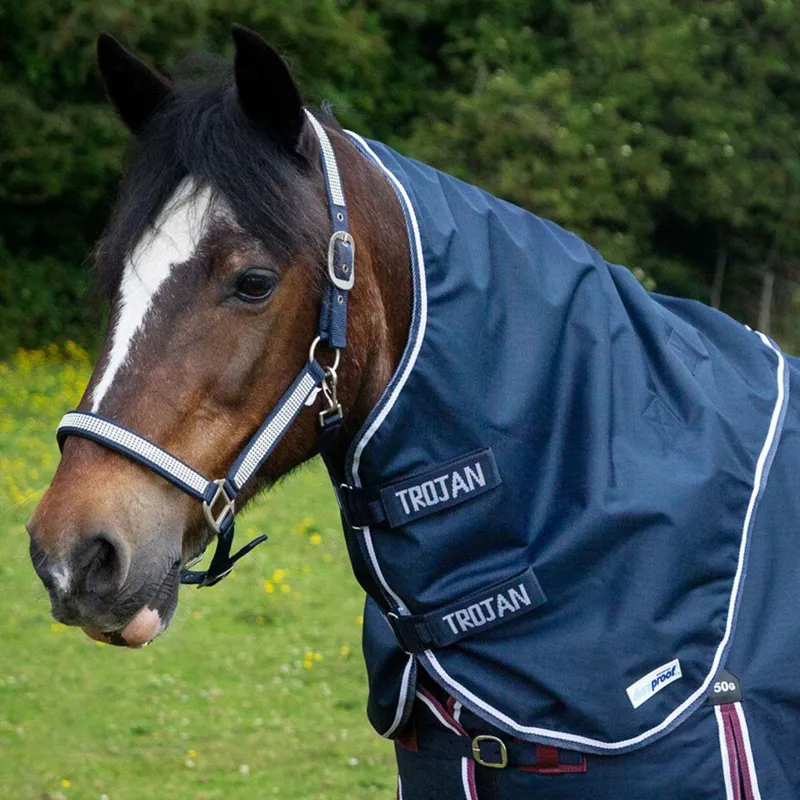 Gallop Trojan Duraproof 5-Point Lightweight Neck Cover - NAVY