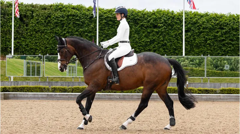 LeMieux Loire Legacy GP Square - WHITE-1