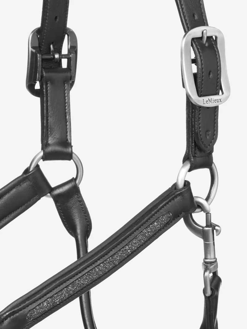 Lemieux Leather Crystal Headcollar - BLACK - Full-2