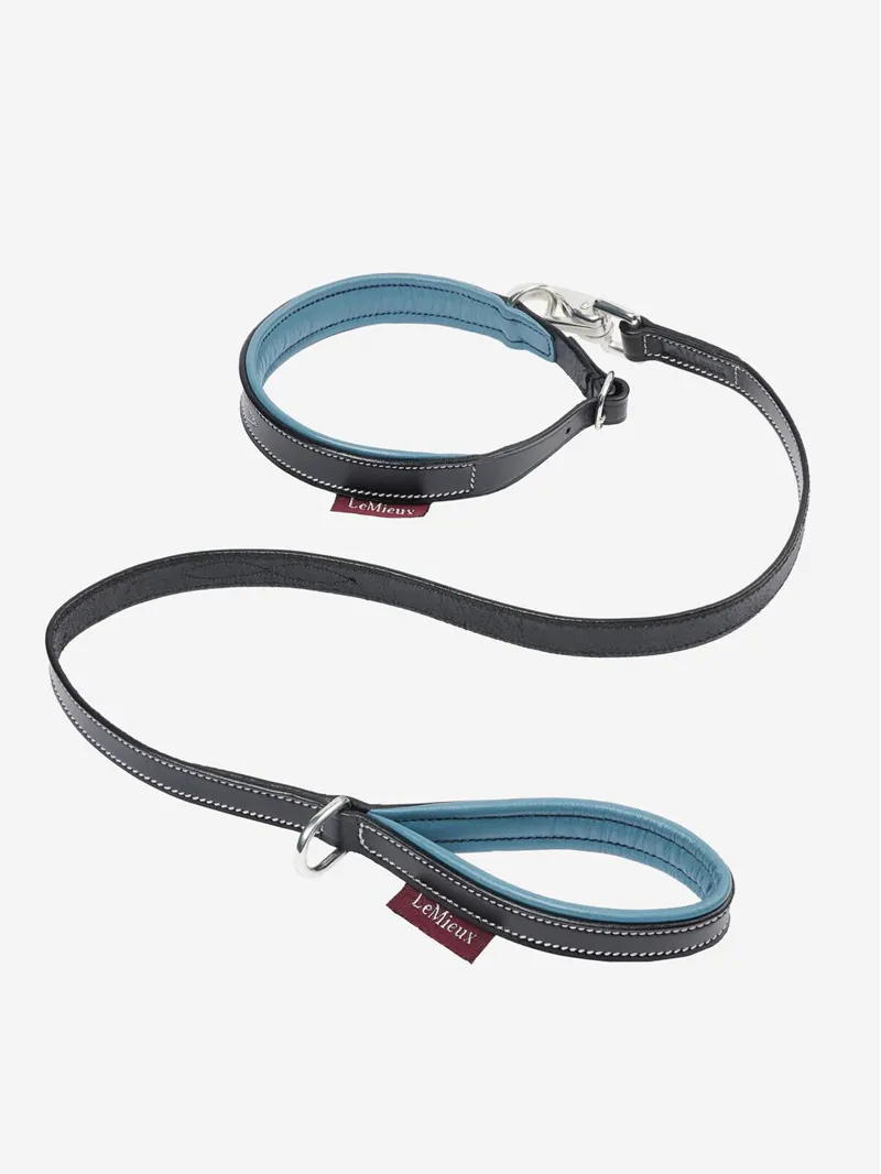 LeMieux Toy Puppy Collar and Lead- ICE BLUE / BLACK - One Size