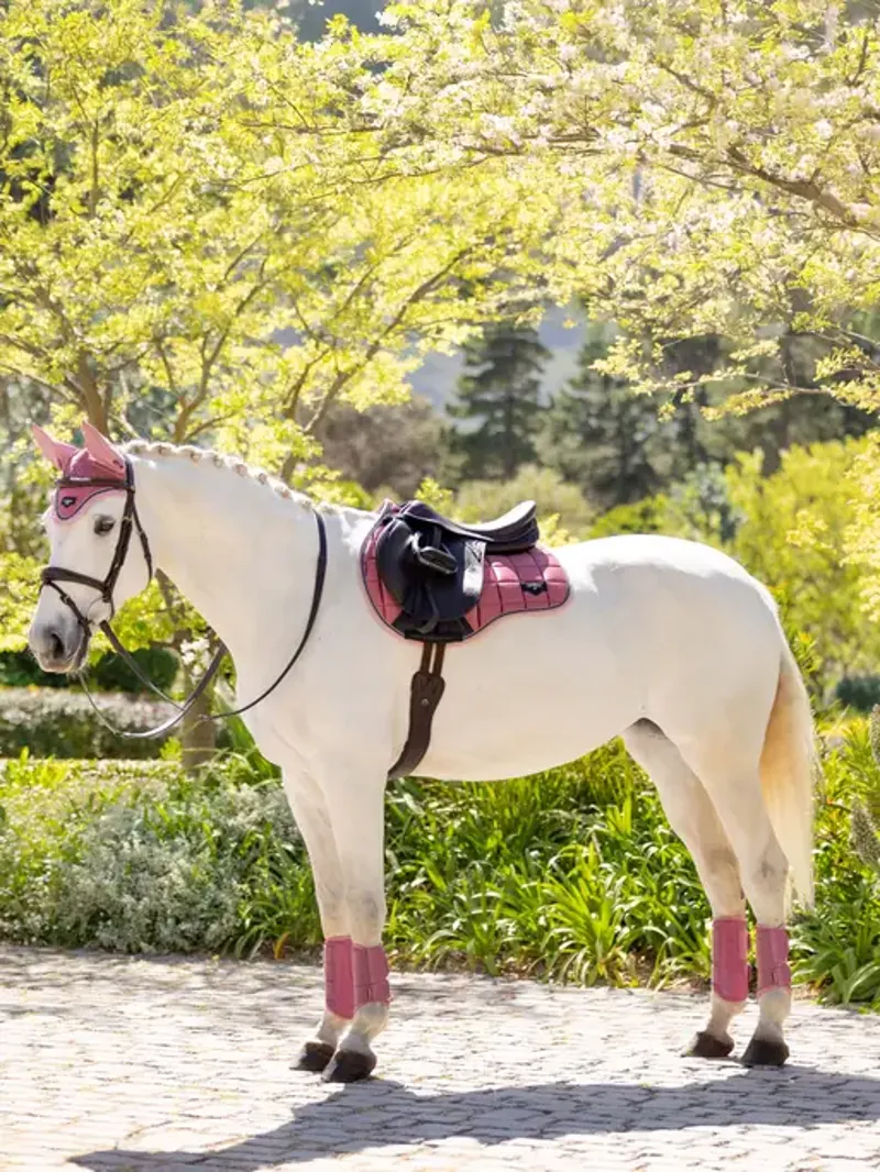 LeMieux Loire Classic GP Square - PEONY -1