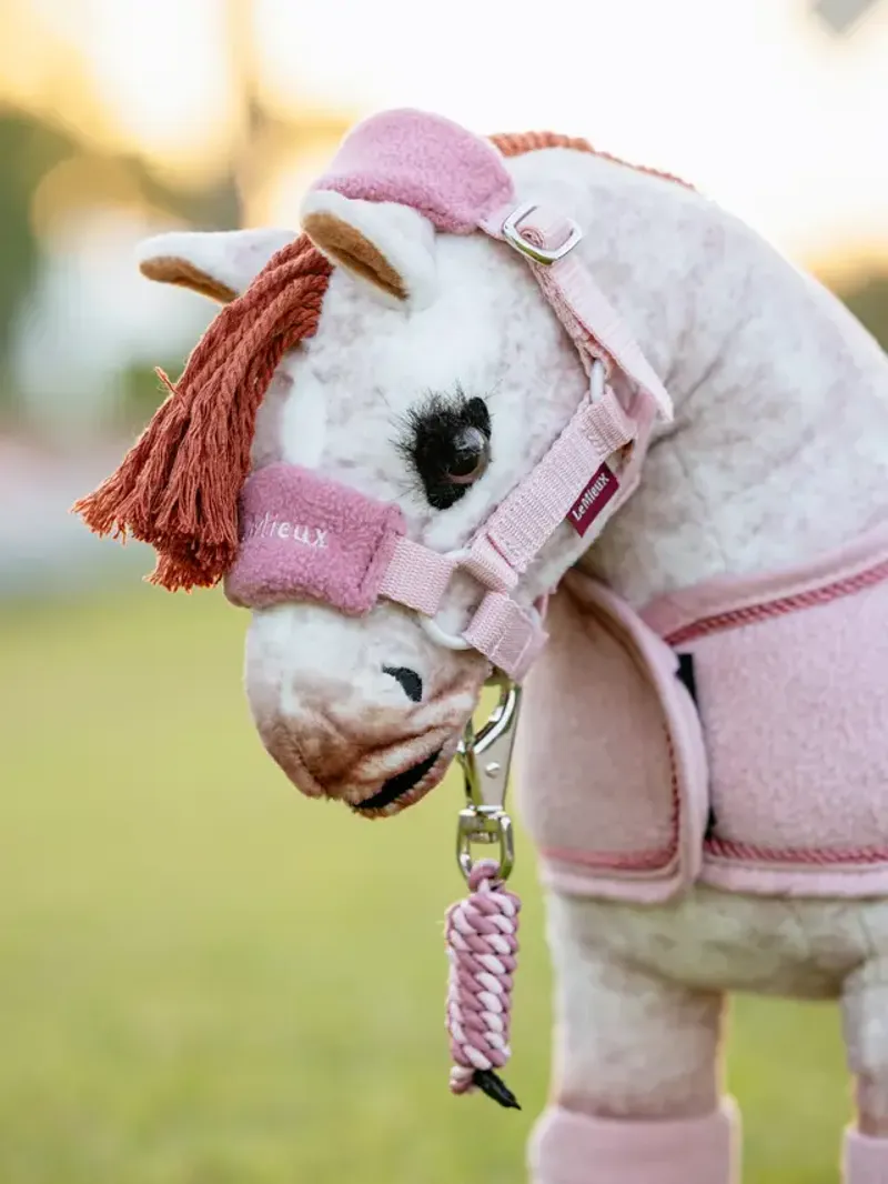 LeMieux Toy Pony Vogue Head Collar - BLOSSOM -1