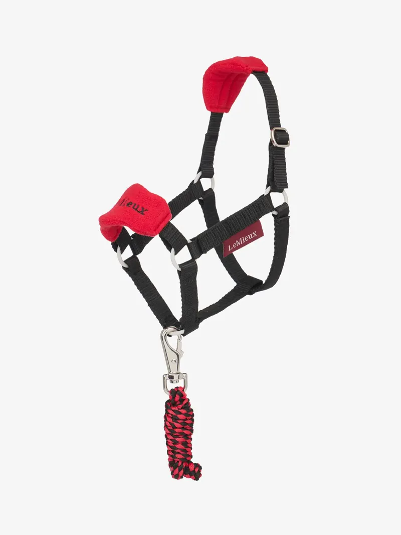 LeMieux Hobby Horse Vogue Head Collar - CHILLI 