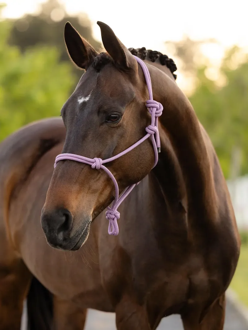 LeMieux Rope Halter Fondant Pink One Size-1