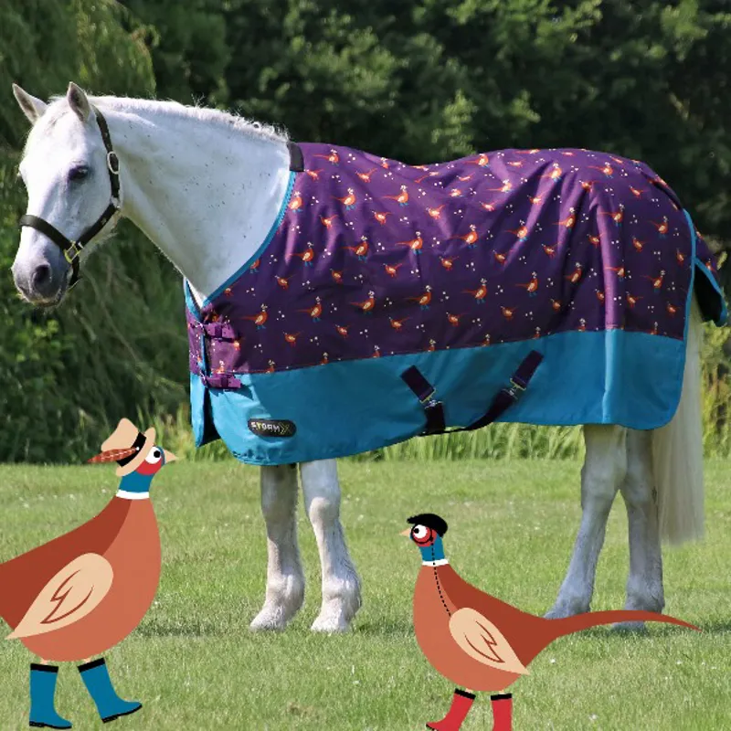 StormX Original Patrick The Pheasant 100g Turnout Rug - Plum Wine/Turkish Teal/Amber Brown