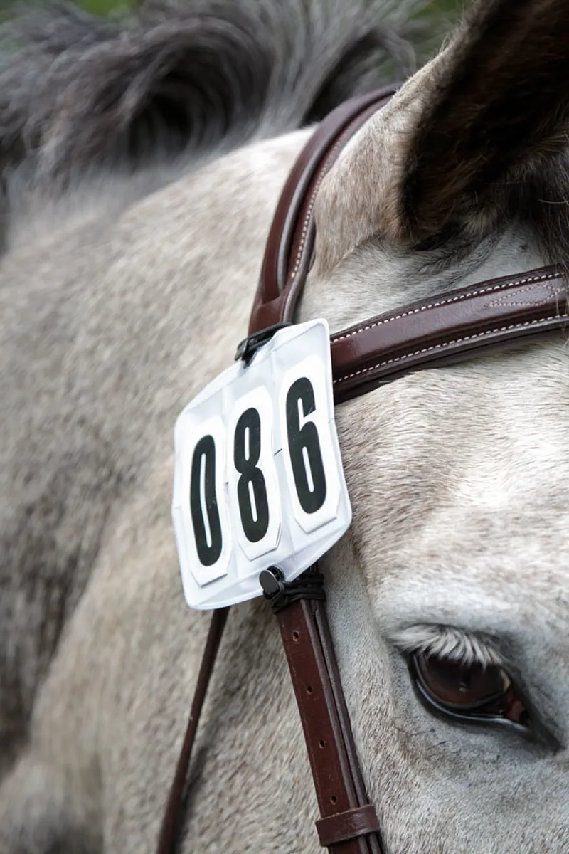 Shires Competition Number Kit - WHITE - One Size