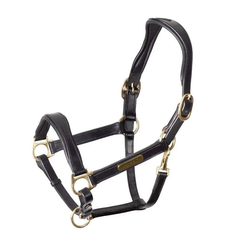 Velociti Rapida Comfort Leather Headcollar - BLACK