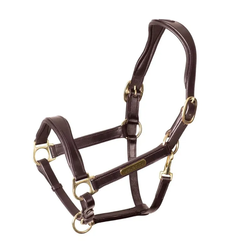 Velociti Rapida Comfort Leather Headcollar - HAVANA