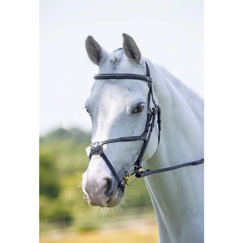 Velociti RAPIDA Grackle Bridle - BLACK -1