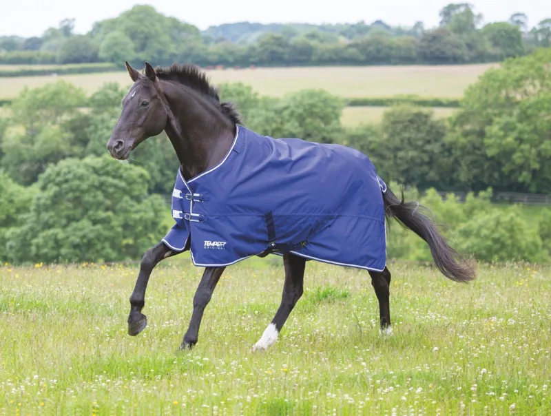 Shires Tempest Original Lite Turnout Rug - NAVY / GREY