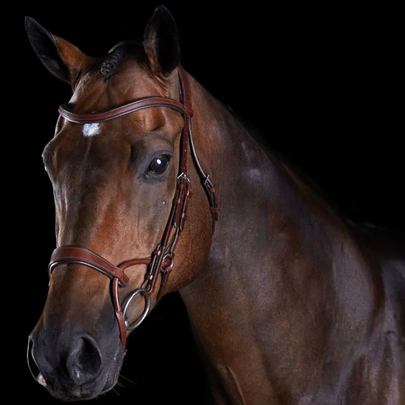 Collegiate Comfitec Training Bridle - BROWN