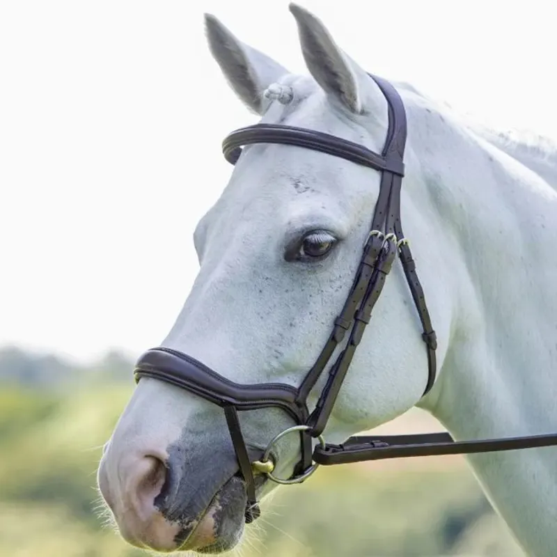 Velociti RAPIDA Ergonomic Flash Bridle - HAVANA-1