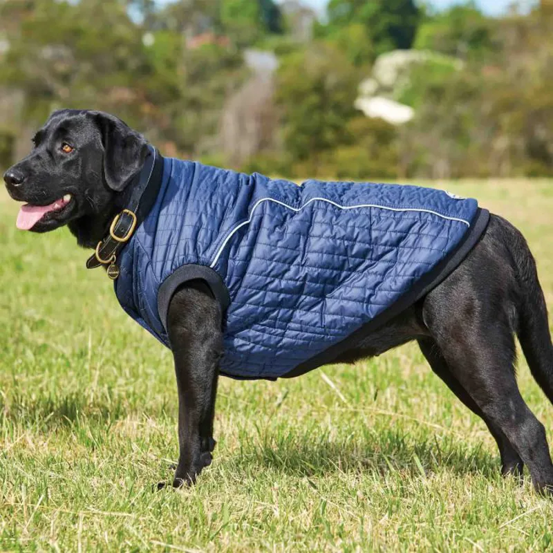 Weatherbeeta Comfitec Puffer Dog Coat - NAVY